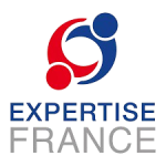 expertise_france-removebg-preview